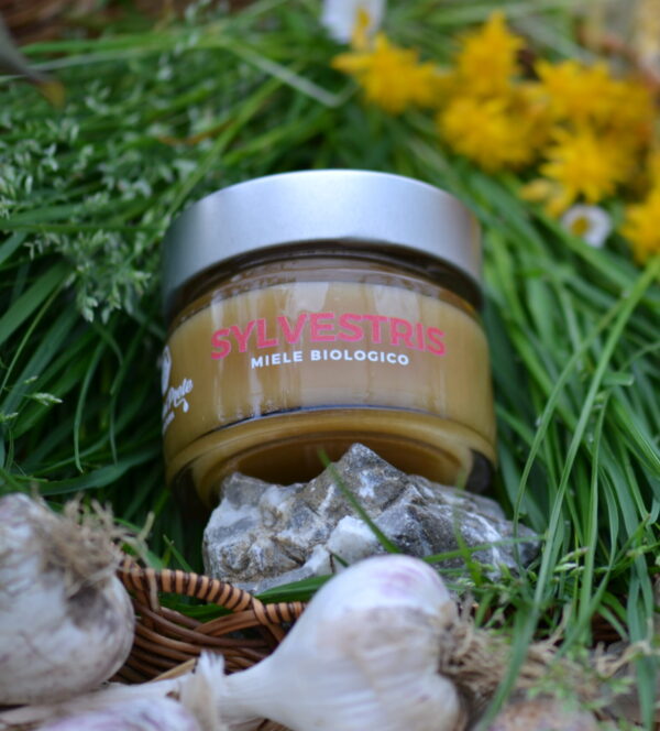 Miele biologico - SYLVESTRIS