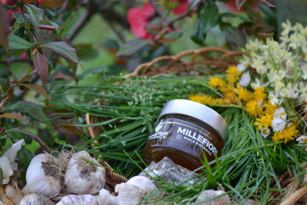 Miele Biologico - MILLEFIORI - immagine 2
