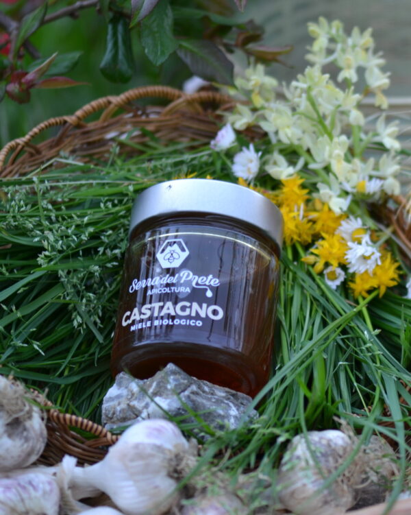 Miele biologico - CASTAGNO