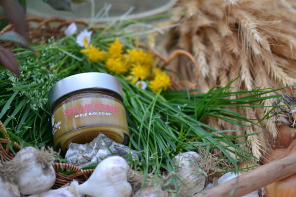 Miele biologico - SYLVESTRIS - immagine 6