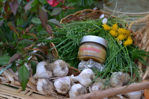 Miele biologico - SYLVESTRIS - immagine 8