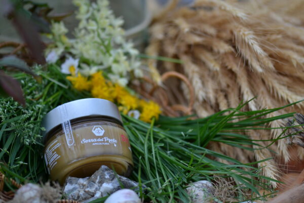 Miele biologico - SYLVESTRIS - immagine 12