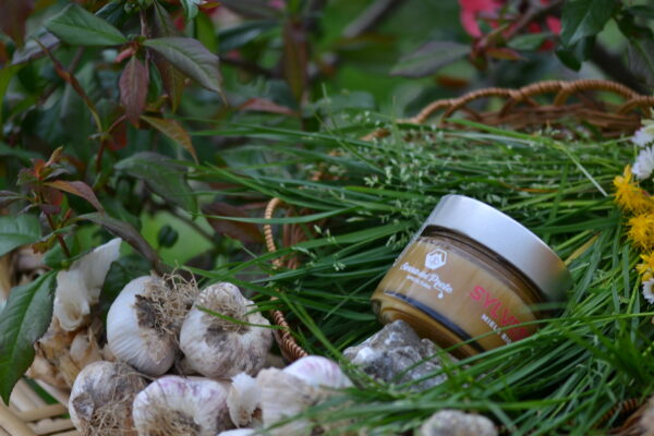 Miele biologico - SYLVESTRIS - immagine 13